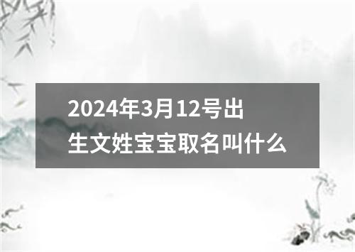 2024年3月12号出生文姓宝宝取名叫什么