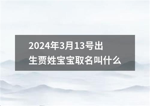 2024年3月13号出生贾姓宝宝取名叫什么