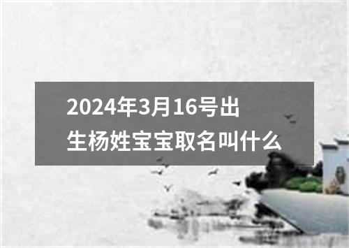 2024年3月16号出生杨姓宝宝取名叫什么