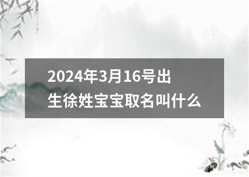 2024年3月16号出生徐姓宝宝取名叫什么