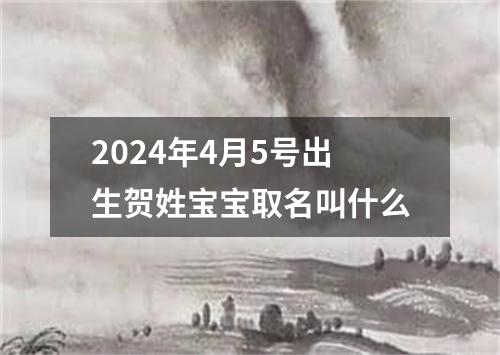 2024年4月5号出生贺姓宝宝取名叫什么