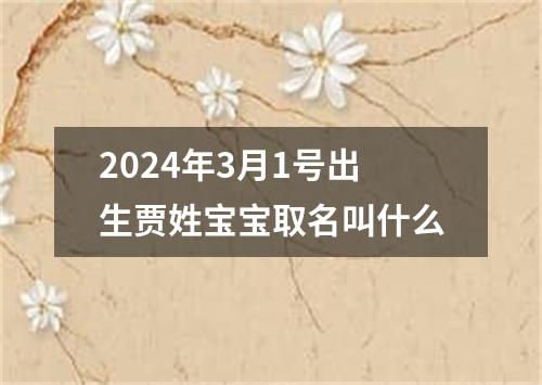2024年3月1号出生贾姓宝宝取名叫什么