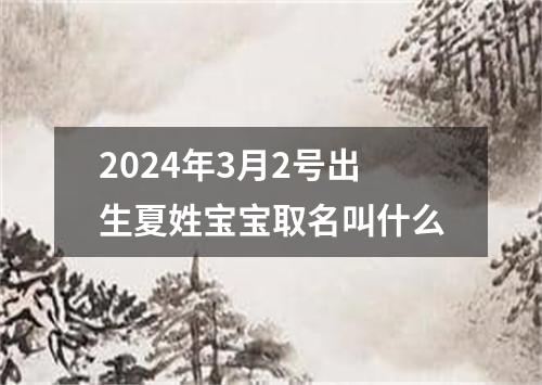 2024年3月2号出生夏姓宝宝取名叫什么