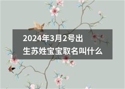 2024年3月2号出生苏姓宝宝取名叫什么