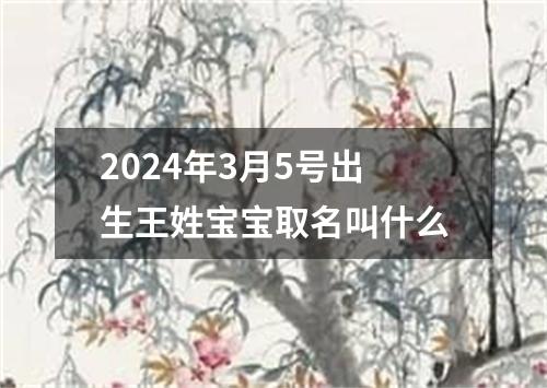 2024年3月5号出生王姓宝宝取名叫什么
