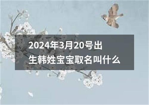 2024年3月20号出生韩姓宝宝取名叫什么