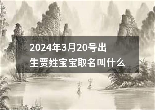 2024年3月20号出生贾姓宝宝取名叫什么