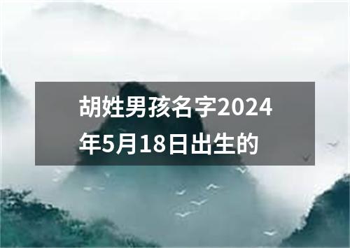 胡姓男孩名字2024年5月18日出生的