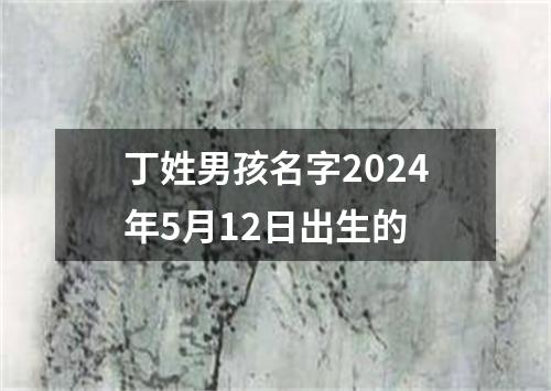 丁姓男孩名字2024年5月12日出生的