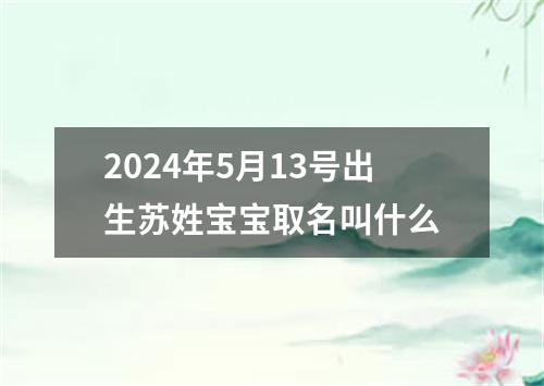 2024年5月13号出生苏姓宝宝取名叫什么
