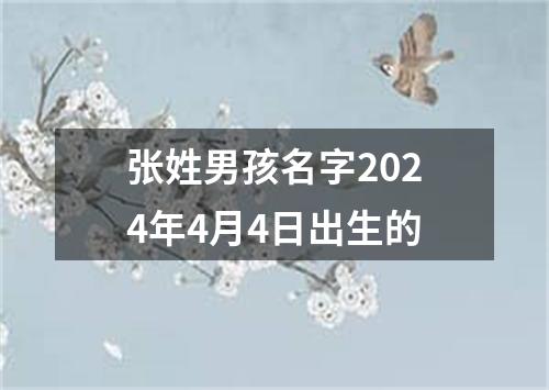 张姓男孩名字2024年4月4日出生的