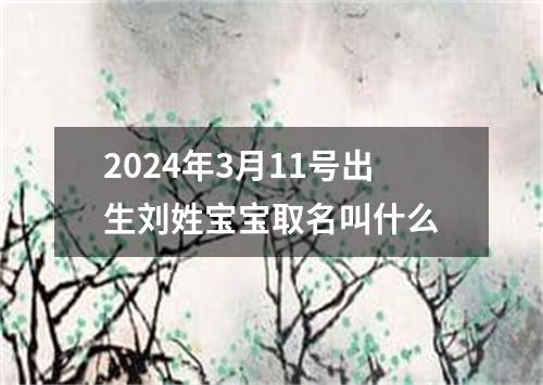 2024年3月11号出生刘姓宝宝取名叫什么