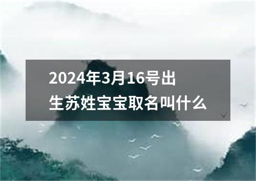 2024年3月16号出生苏姓宝宝取名叫什么