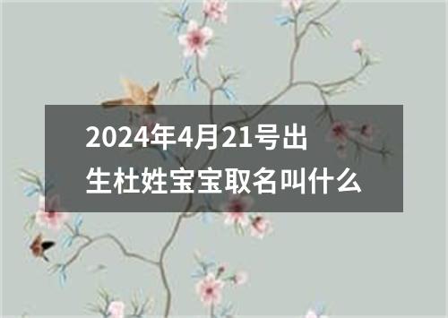 2024年4月21号出生杜姓宝宝取名叫什么