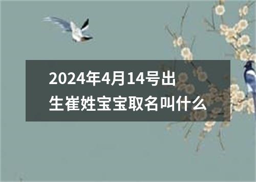 2024年4月14号出生崔姓宝宝取名叫什么