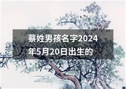蔡姓男孩名字2024年5月20日出生的