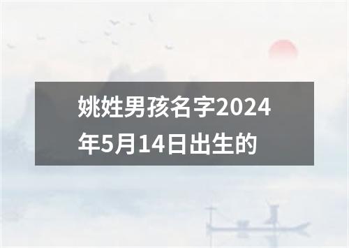 姚姓男孩名字2024年5月14日出生的