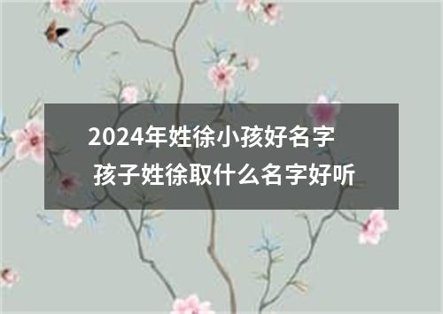 2024年姓徐小孩好名字 孩子姓徐取什么名字好听
