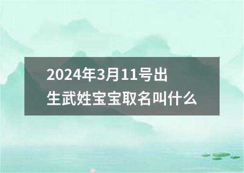 2024年3月11号出生武姓宝宝取名叫什么