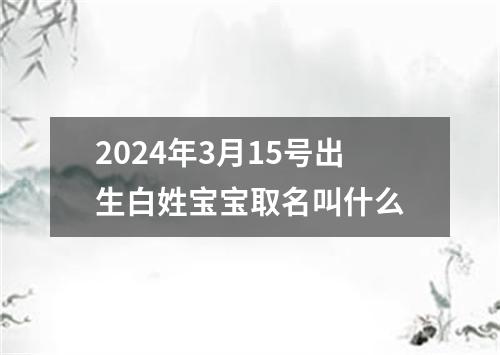 2024年3月15号出生白姓宝宝取名叫什么