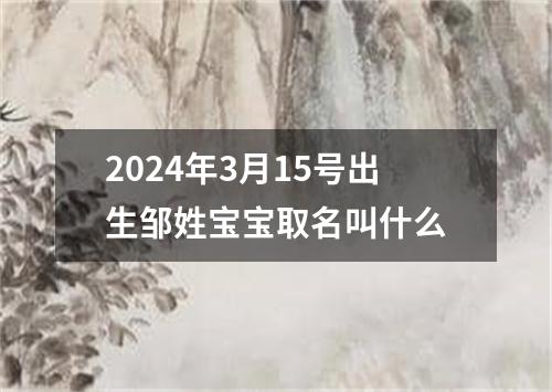 2024年3月15号出生邹姓宝宝取名叫什么