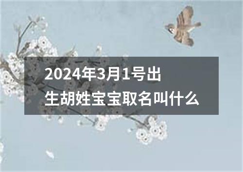 2024年3月1号出生胡姓宝宝取名叫什么