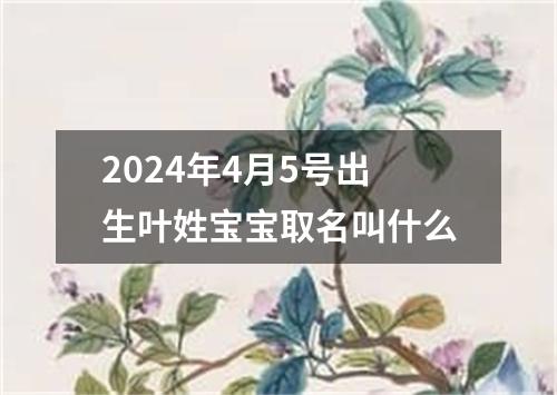 2024年4月5号出生叶姓宝宝取名叫什么