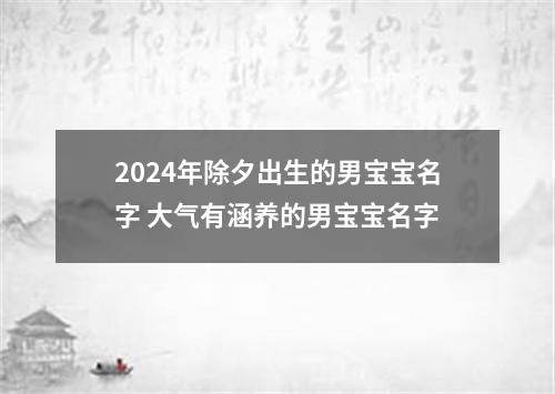 2024年除夕出生的男宝宝名字 大气有涵养的男宝宝名字