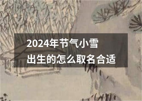2024年节气小雪出生的怎么取名合适