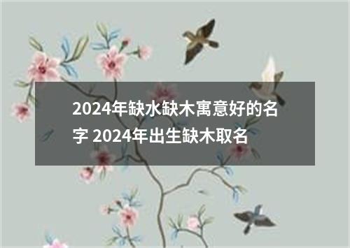 2024年缺水缺木寓意好的名字 2024年出生缺木取名