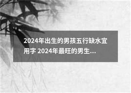 2024年出生的男孩五行缺水宜用字 2024年最旺的男生名字