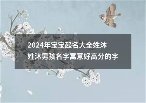 2024年宝宝起名大全姓沐 姓沐男孩名字寓意好高分的字