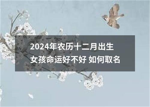 2024年农历十二月出生女孩命运好不好 如何取名