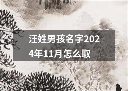 汪姓男孩名字2024年11月怎么取