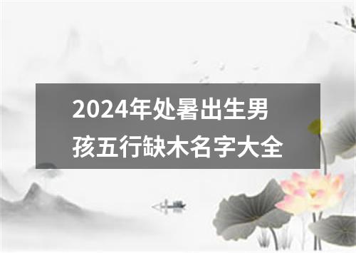 2024年处暑出生男孩五行缺木名字大全
