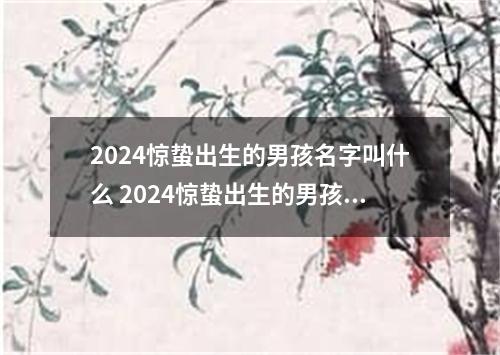 2024惊蛰出生的男孩名字叫什么 2024惊蛰出生的男孩如何