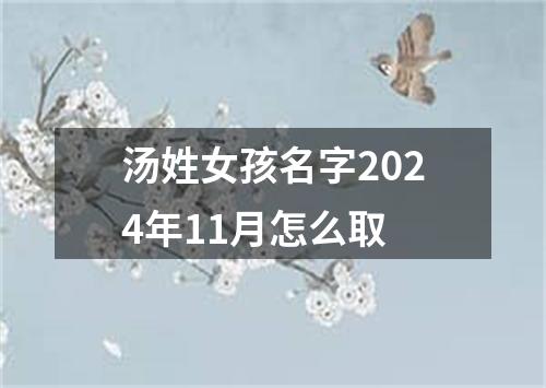 汤姓女孩名字2024年11月怎么取