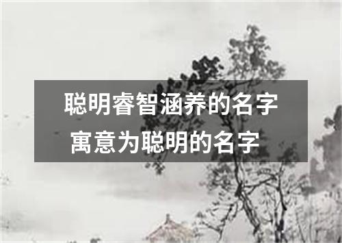 聪明睿智涵养的名字 寓意为聪明的名字
