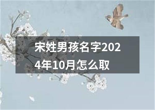 宋姓男孩名字2024年10月怎么取