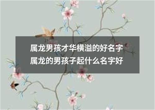 属龙男孩才华横溢的好名字 属龙的男孩子起什么名字好