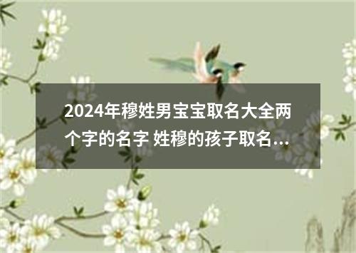 2024年穆姓男宝宝取名大全两个字的名字 姓穆的孩子取名男