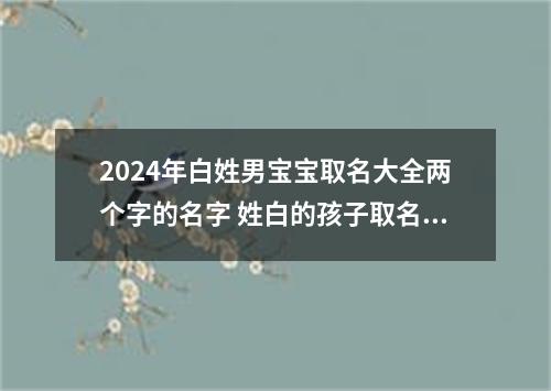 2024年白姓男宝宝取名大全两个字的名字 姓白的孩子取名男
