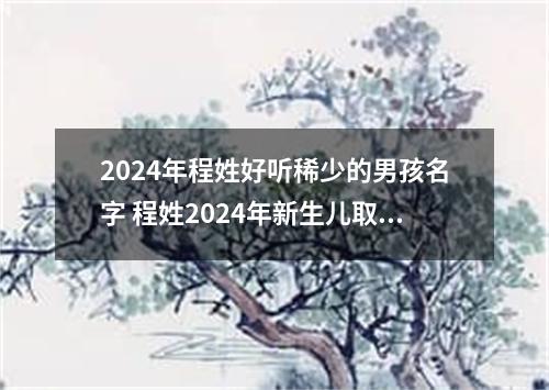 2024年程姓好听稀少的男孩名字 程姓2024年新生儿取名字