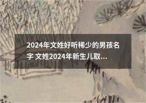 2024年文姓好听稀少的男孩名字 文姓2024年新生儿取名字