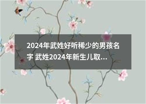 2024年武姓好听稀少的男孩名字 武姓2024年新生儿取名字