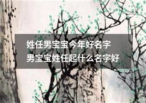 姓任男宝宝今年好名字 男宝宝姓任起什么名字好