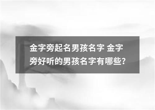 金字旁起名男孩名字 金字旁好听的男孩名字有哪些？