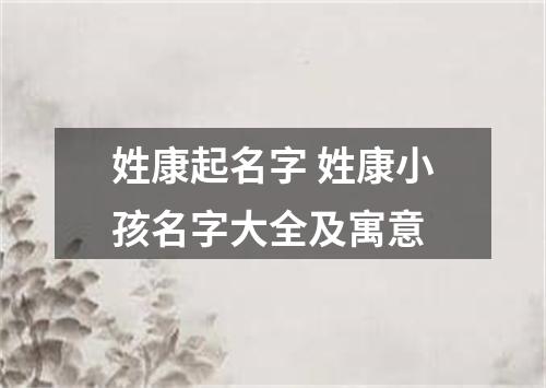 姓康起名字 姓康小孩名字大全及寓意