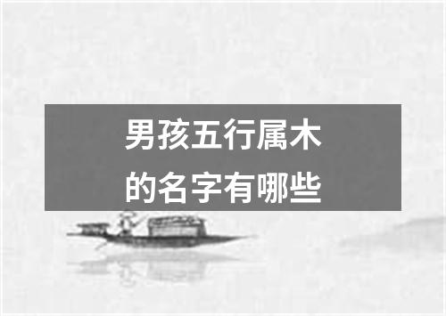男孩五行属木的名字有哪些