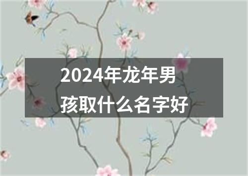 2024年龙年男孩取什么名字好